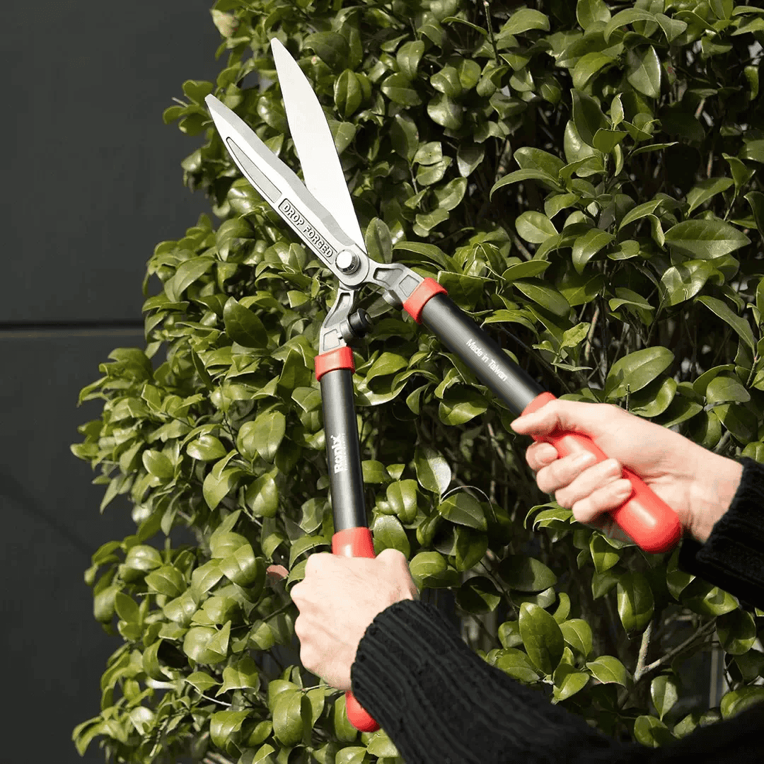 modeling_638289091229171921